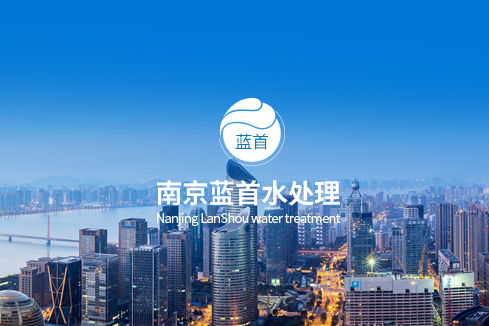 桐乡建站-南京蓝首水处理设备有限公司