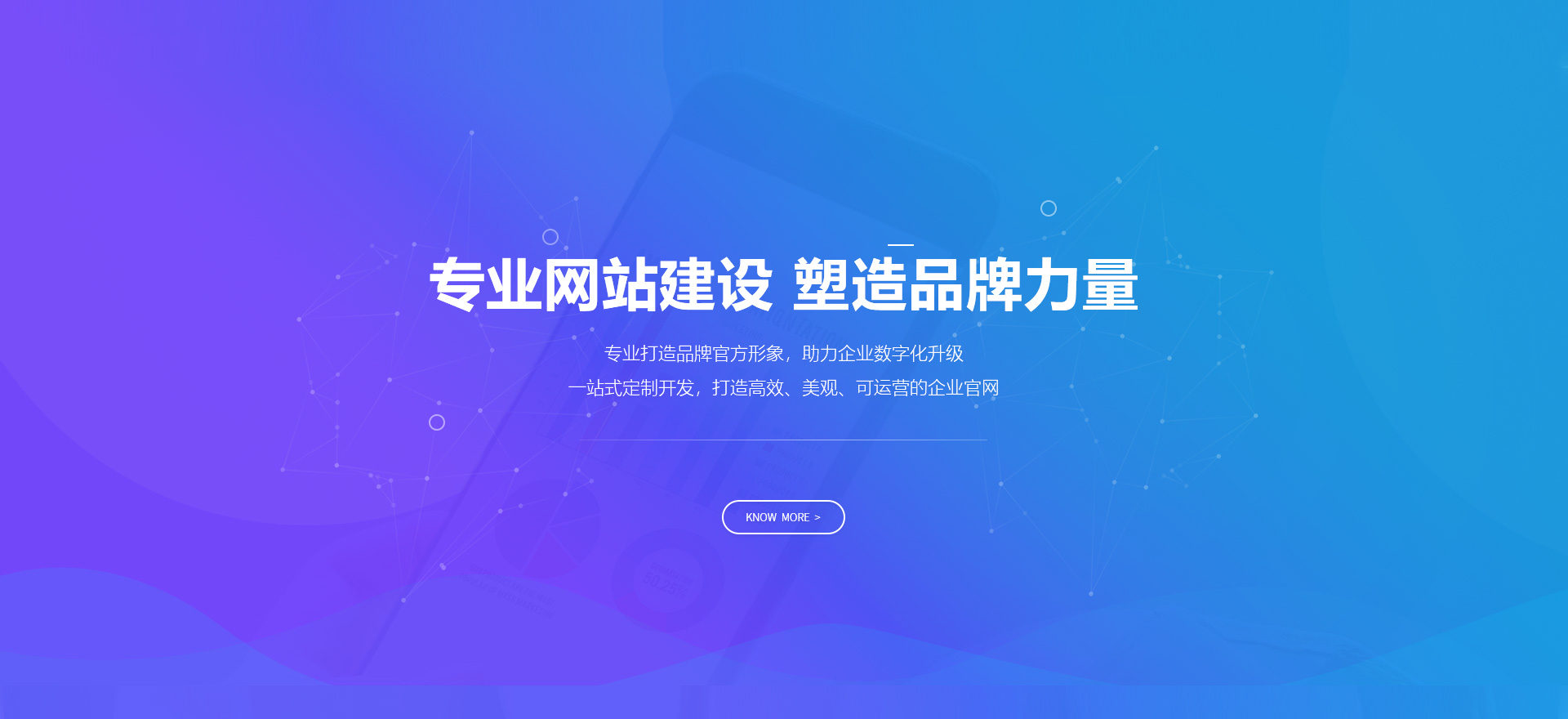 海盐建站-专业网站建设 塑造品牌力量