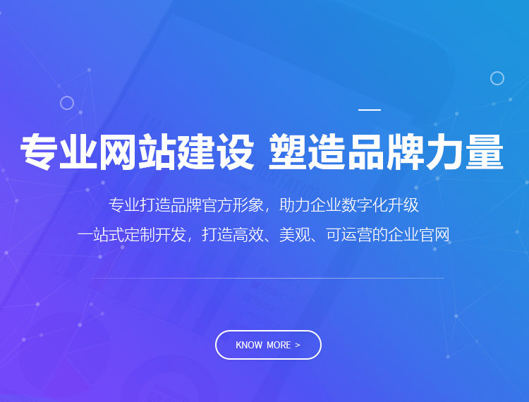 海盐建站-专业网站建设 塑造品牌力量